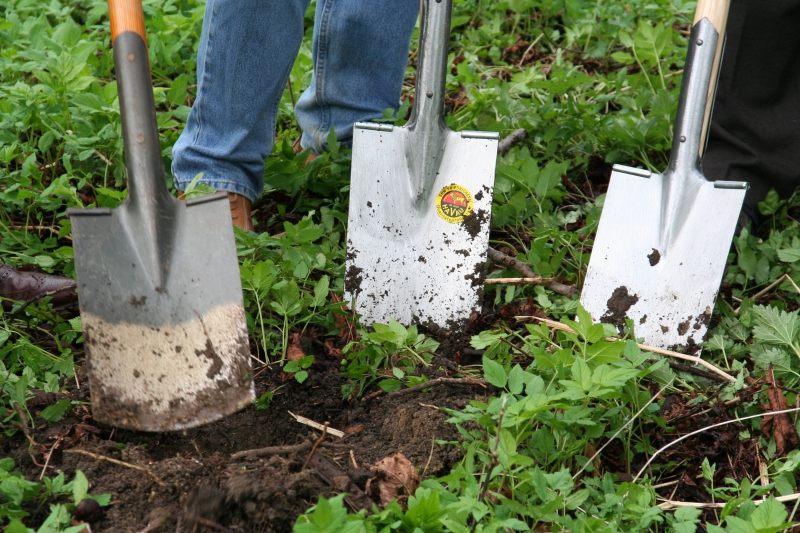 pepiniere-BRIGNOLES-min_work-lawn-flower-tool-green-backyard-1103633-pxhere.com